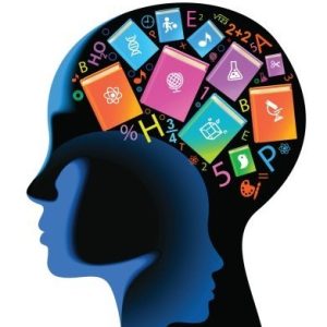 Neuro Didáctica para el Aula: El proceso de Enseñanza Aprendizaje