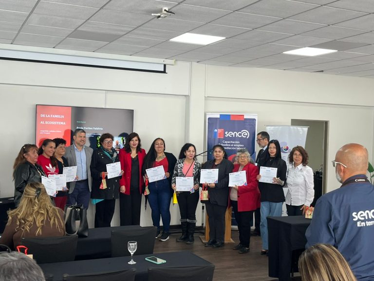 Cuidadoras de Tarapacá: el proyecto de CREIDE deja evidencia regional y una ruta para formarlas